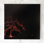 Cecilia Ahlqvist Mining Site 2010.