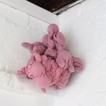 Nerida Olsen, Evolution XXII, 2012.