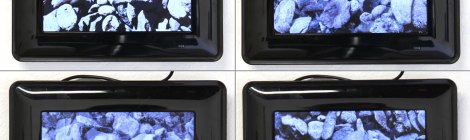 Yu Araki, Big Numbers (Test version). video 1.17 min.