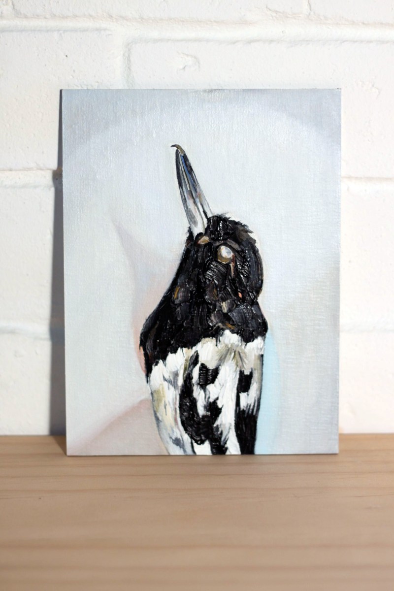Emma Lindsay Pied butcherbird, 2013 oil on linen & dibond panel 20 x 15cm SOLD