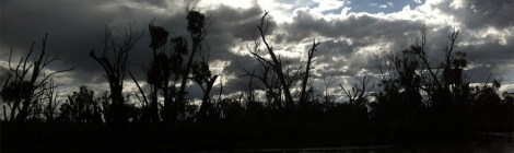 Jürgen Kerkovius: Terror Australis, (detail) 2013