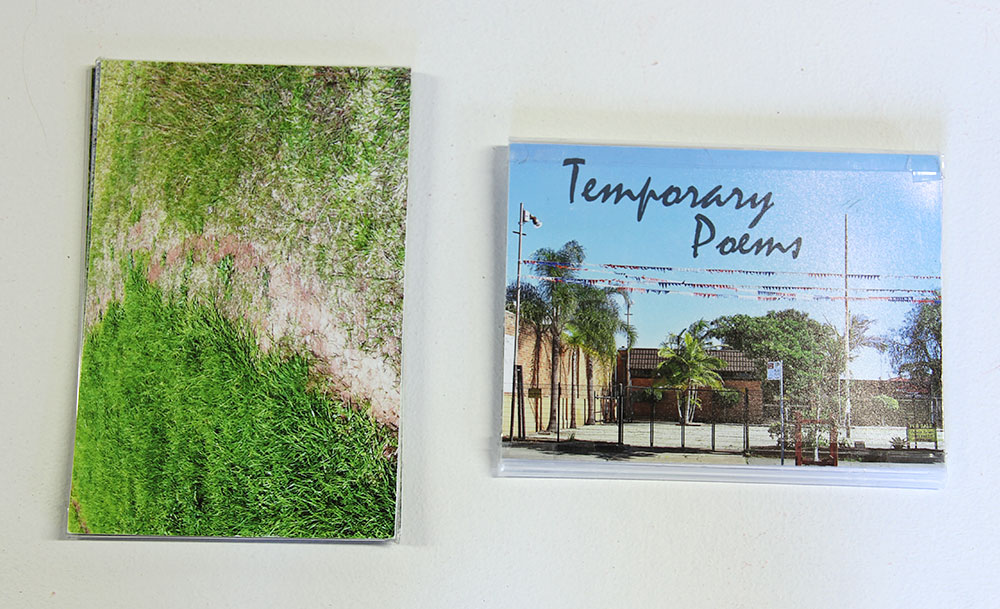 Anne Kay: Temporary Poems; nPath, 2013