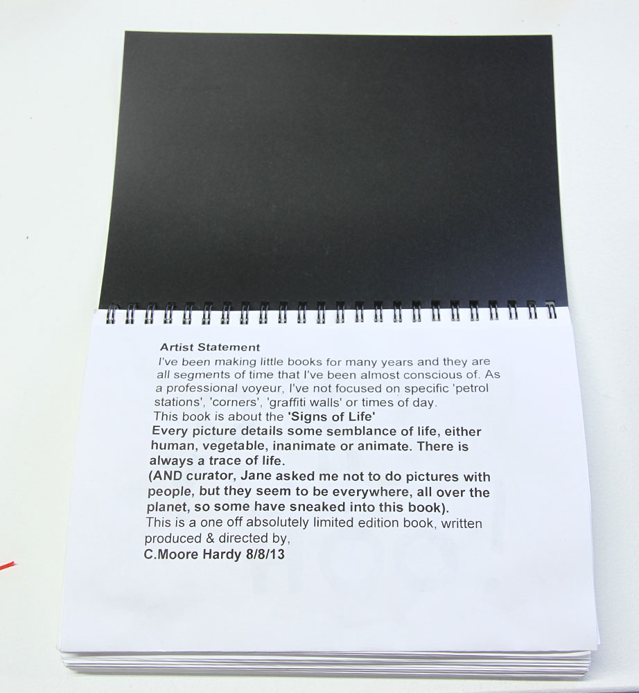 C.Moore Hardy: Vistas, detail. Hand made books with colour photographic prints