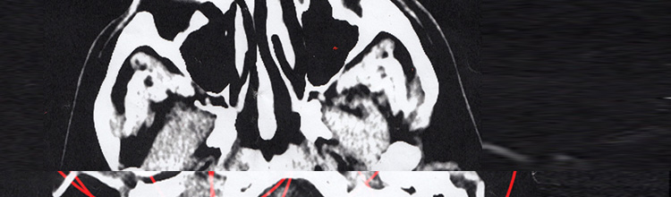 Gianni Wise: Spectres of the Spectrum (detail) 2013