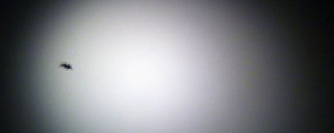 Terror Australis: time well spent