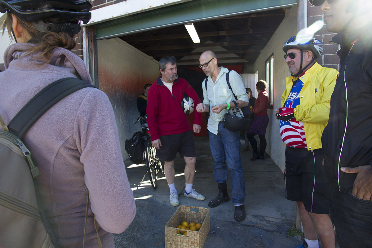 Pulped, Melissa Harvey. Art Cycle tour stops by, 5th July 2014.