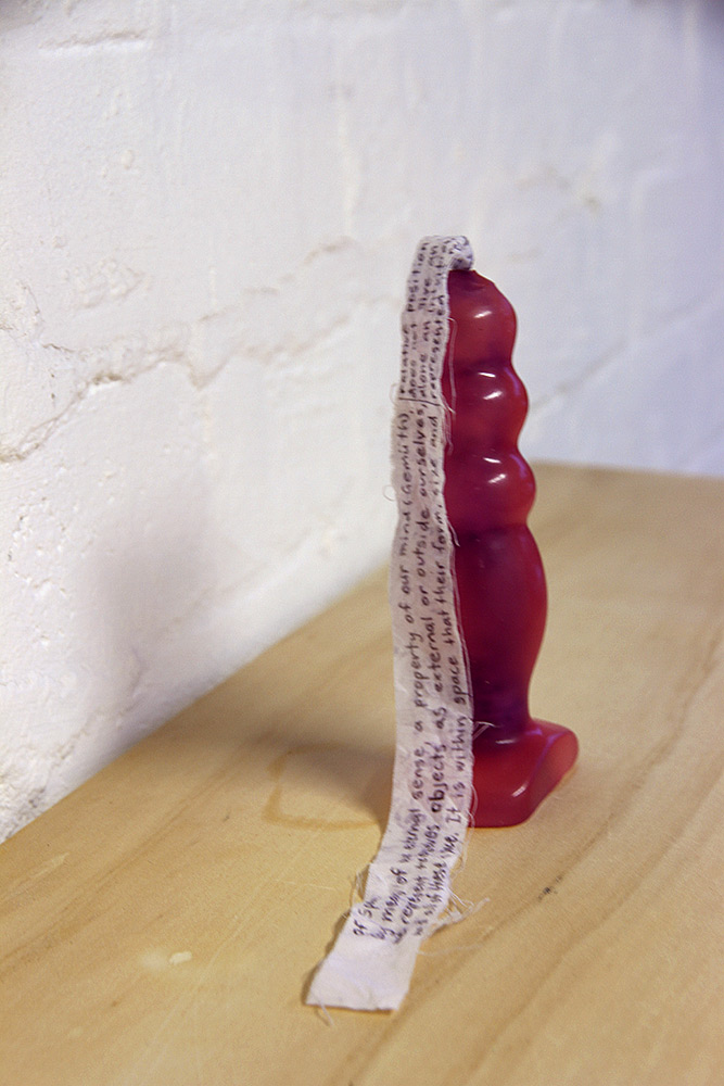 Renny Kodgers: Anal Scroll, (installation view), 2014-2015. Butt blug, ink on cloth, shelf, A1 inkjet on Ilford photo paper.