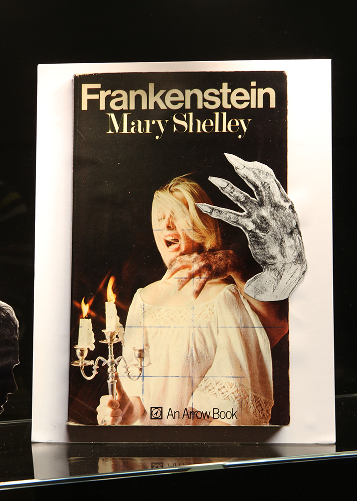 Anne Kay “Learning to draw from books”, 2015. Series of photo-montages.