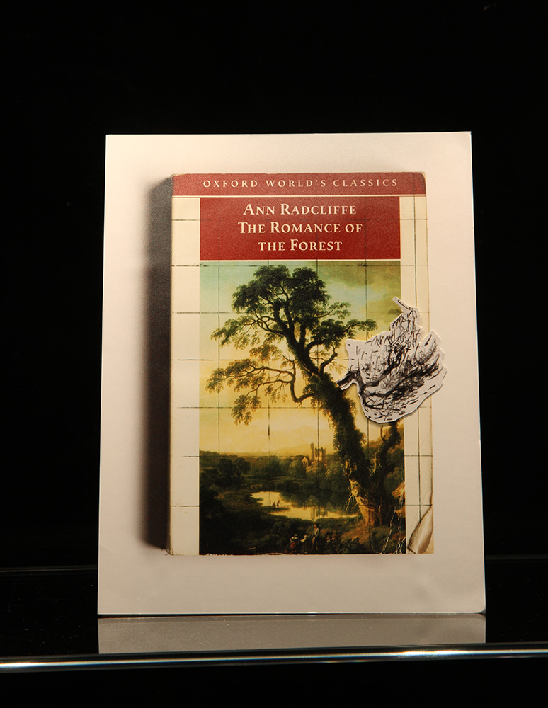 Anne Kay “Learning to draw from books”, 2015. Series of photo-montages.