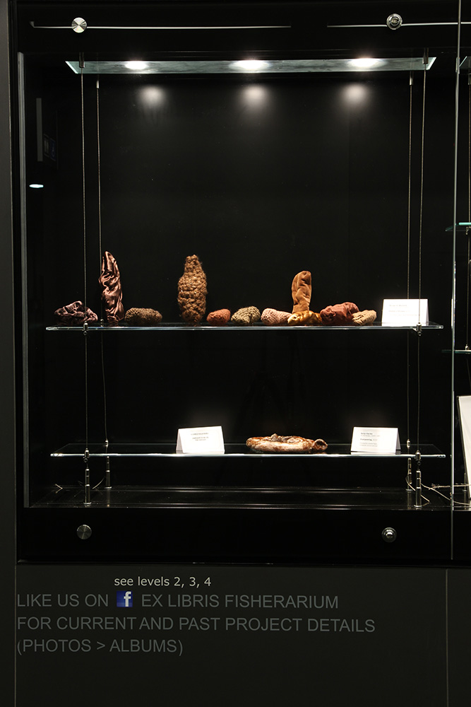 Top: Margaret Mayhew "Shades of Brown," 2015. Crocheted yarn and stitched fabric. Bottom: Sally Clarke "Postpassing", 2015. Unstable materials, volatile dimensions