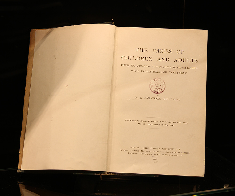 "A Brief Scatological Survey", 2015, curated by jane Polkinghorne. Objects and books from collection of curator