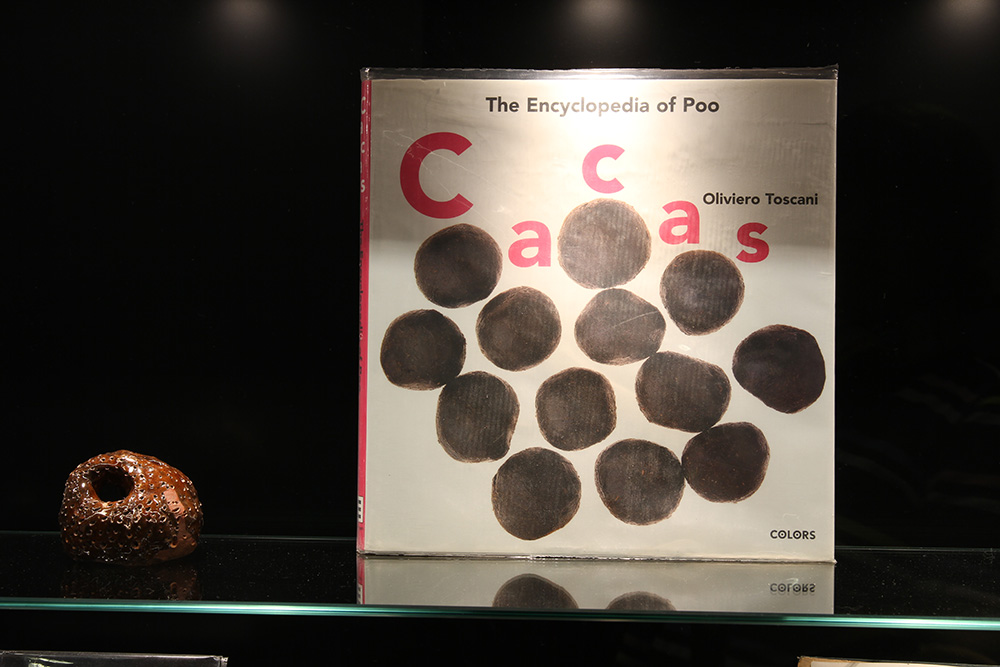 "A Brief Scatological Survey", 2015, curated by jane Polkinghorne. Objects and books from collection of curator