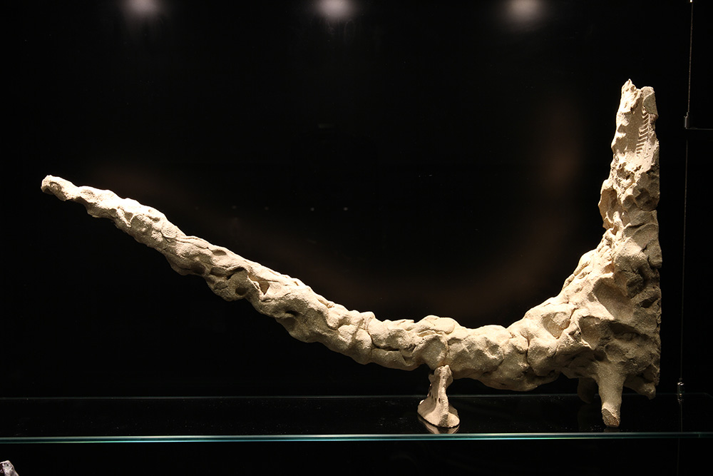 Trevor Fry "The Shittest Pile of Crap You Have Ever Seen", 2015. Ceramics and mixed media