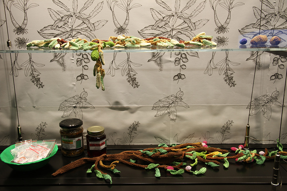 Sarah Newall "wild Food Project," 2015. Books, perseveres, yarn, seeds, photocopies, Femo.