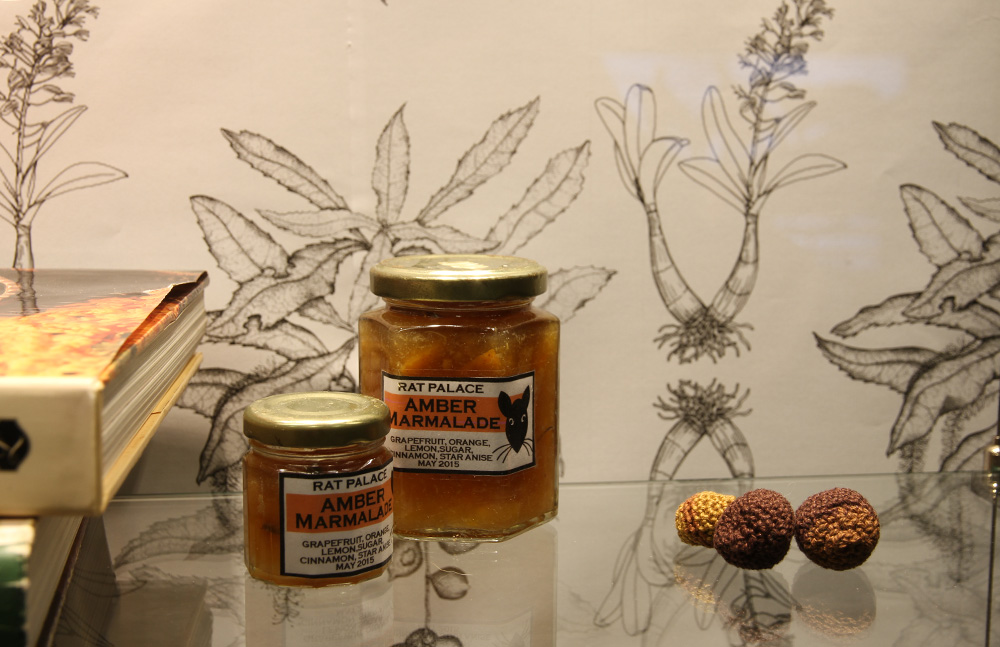 Sarah Newall "wild Food Project," 2015. Books, perseveres, yarn, seeds, photocopies, Femo.