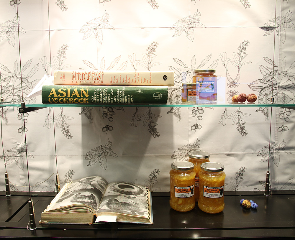 Sarah Newall "wild Food Project," 2015. Books, perseveres, yarn, seeds, photocopies, Femo.