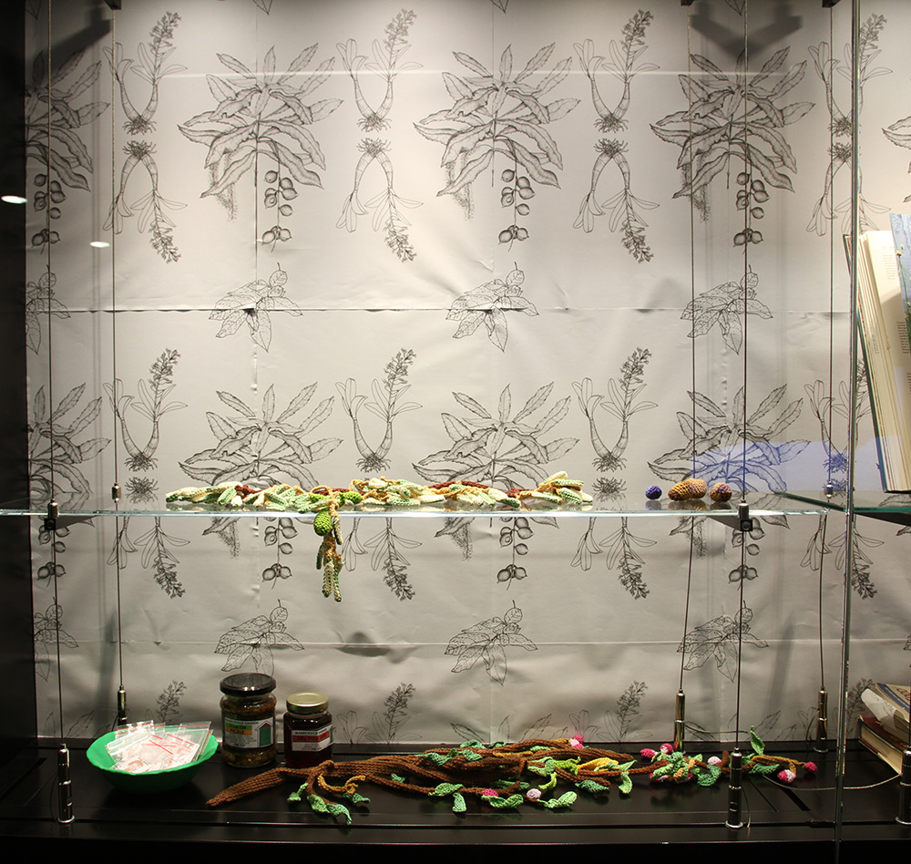 Sarah Newall "wild Food Project," 2015. Books, perseveres, yarn, seeds, photocopies, Femo.