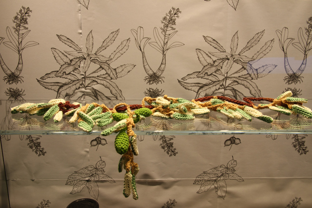 Sarah Newall "wild Food Project," 2015. Books, perseveres, yarn, seeds, photocopies, Femo.